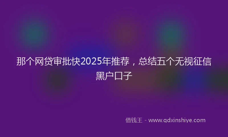 那个网贷审批快2025年推荐，总结五个无视征信黑户口子