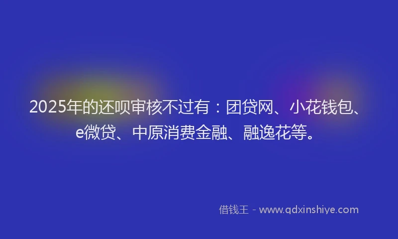2025年的还呗审核不过有：团贷网、小花钱包、e微贷、中原消费金融、融逸花等。