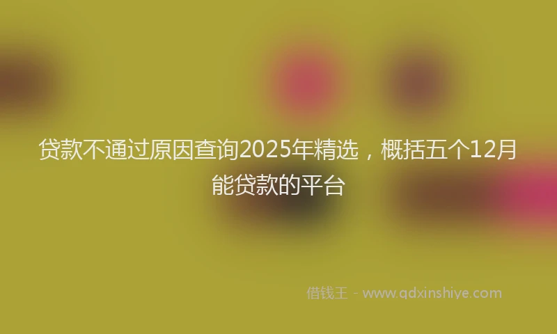 贷款不通过原因查询2025年精选，概括五个12月能贷款的平台