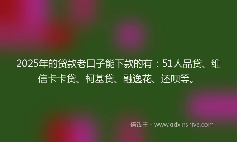 2025年的贷款老口子能下款的有：51人品贷、维信卡卡贷、柯基贷、融逸花、还呗等。