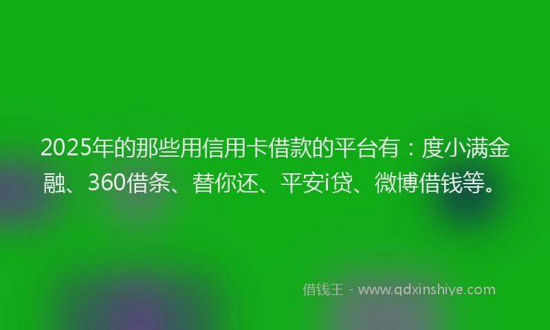 2025年的那些用信用卡借款的平台有：度小满金融、360借条、替你还、平安i贷、微博借钱等。