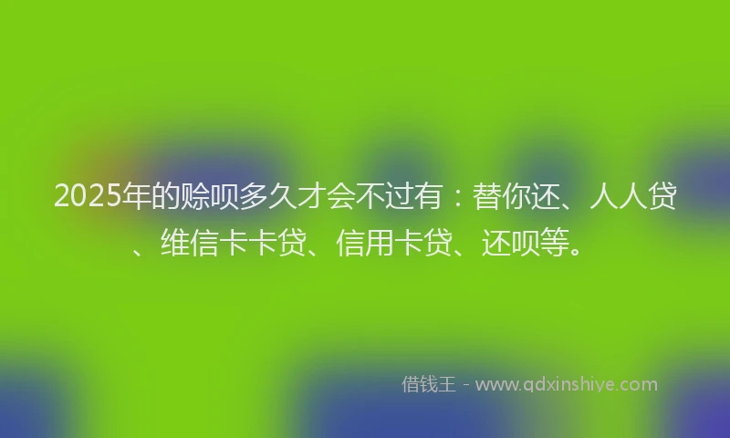 2025年的赊呗多久才会不过有：替你还、人人贷、维信卡卡贷、信用卡贷、还呗等。