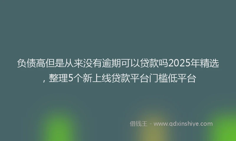 负债高但是从来没有逾期可以贷款吗2025年精选，整理5个新上线贷款平台门槛低平台