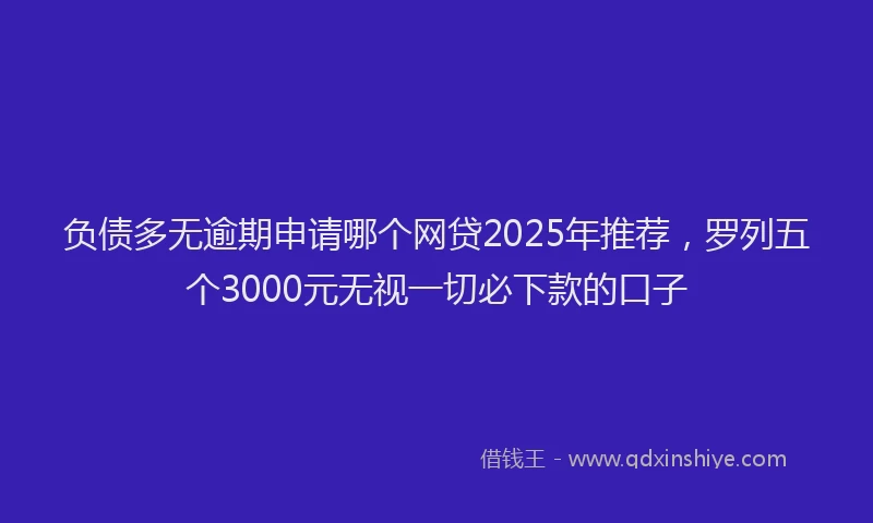负债多无逾期申请哪个网贷2025年推荐，罗列五个3000元无视一切必下款的口子