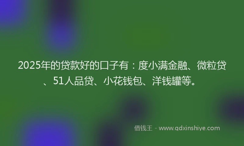 2025年的贷款好的口子有：度小满金融、微粒贷、51人品贷、小花钱包、洋钱罐等。