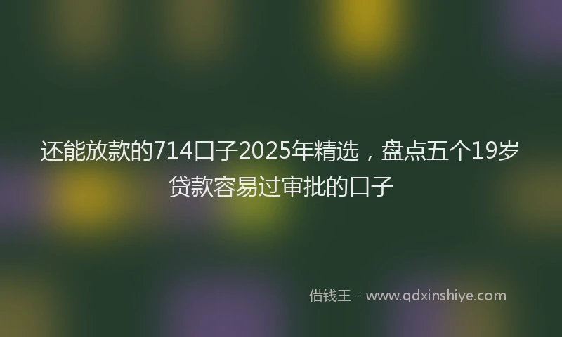 还能放款的714口子2025年精选，盘点五个19岁贷款容易过审批的口子