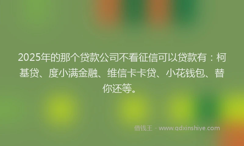 2025年的那个贷款公司不看征信可以贷款有：柯基贷、度小满金融、维信卡卡贷、小花钱包、替你还等。