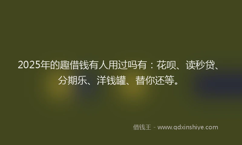 2025年的趣借钱有人用过吗有：花呗、读秒贷、分期乐、洋钱罐、替你还等。