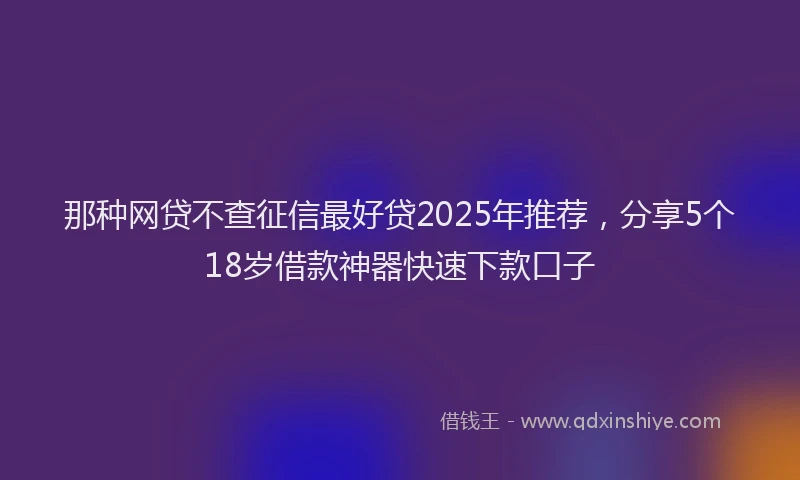 那种网贷不查征信最好贷2025年推荐，分享5个18岁借款神器快速下款口子