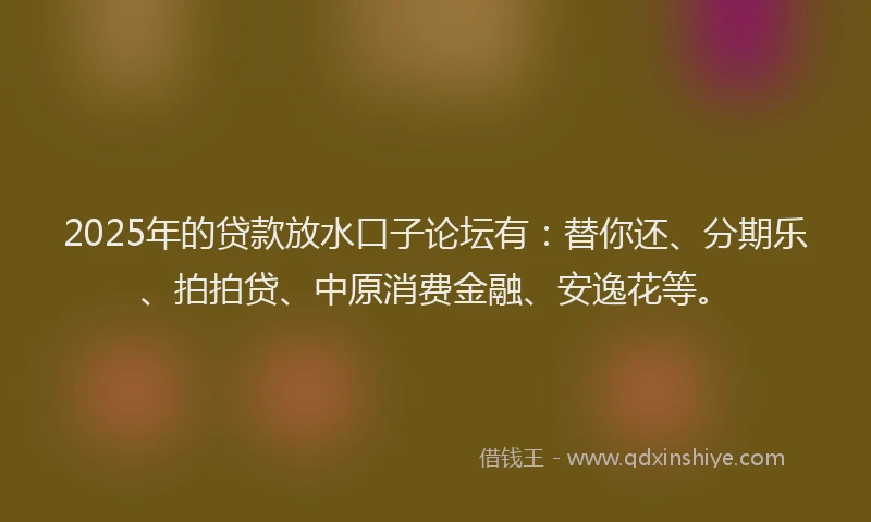 2025年的贷款放水口子论坛有：替你还、分期乐、拍拍贷、中原消费金融、安逸花等。