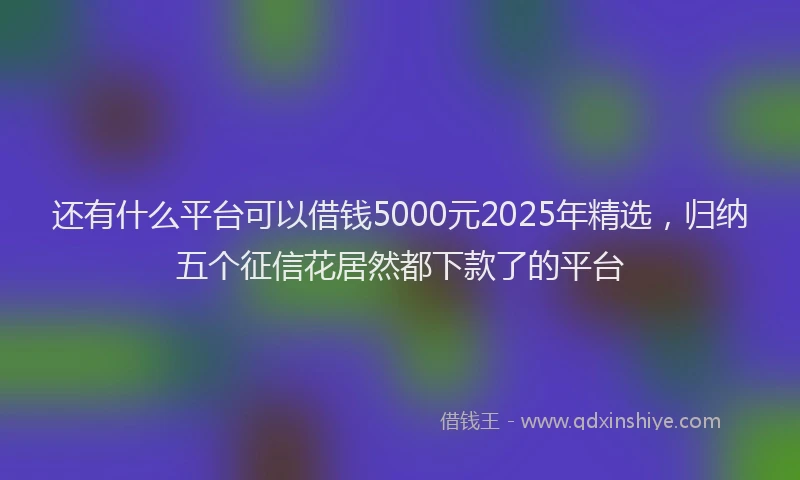 还有什么平台可以借钱5000元2025年精选，归纳五个征信花居然都下款了的平台