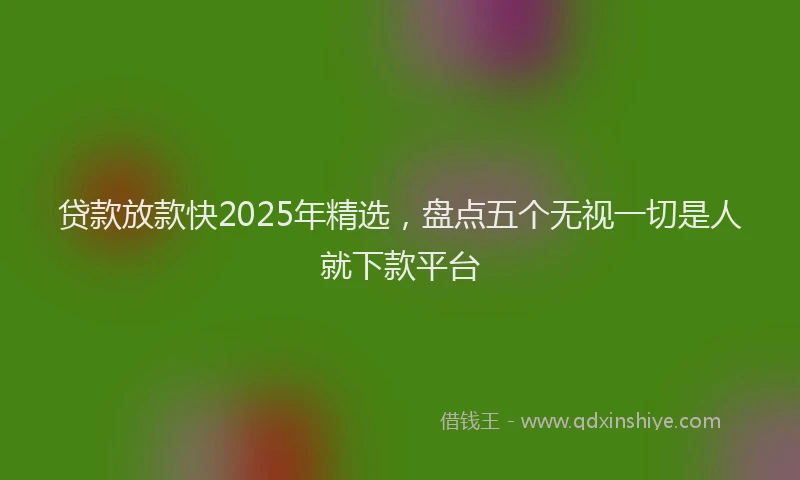 贷款放款快2025年精选，盘点五个无视一切是人就下款平台