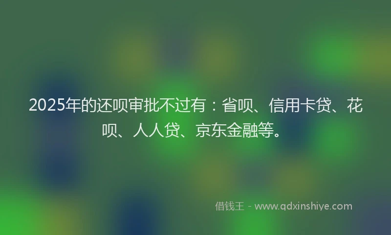 2025年的还呗审批不过有：省呗、信用卡贷、花呗、人人贷、京东金融等。