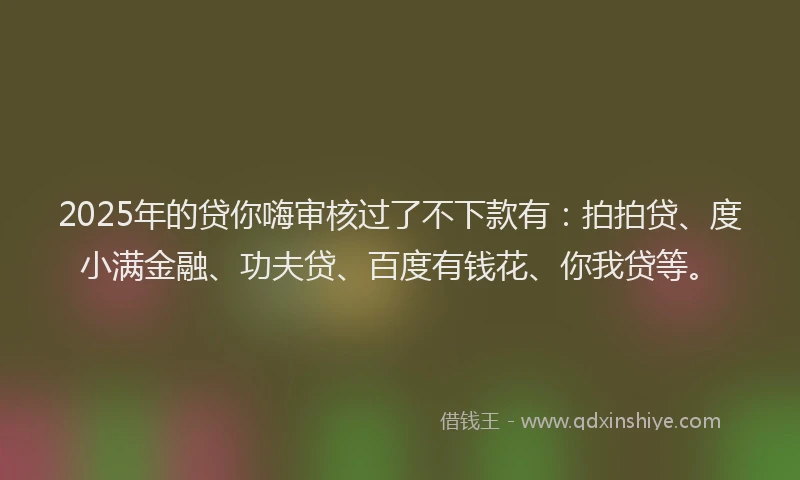 2025年的贷你嗨审核过了不下款有：拍拍贷、度小满金融、功夫贷、百度有钱花、你我贷等。