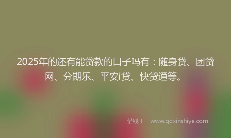 2025年的还有能贷款的口子吗有：随身贷、团贷网、分期乐、平安i贷、快贷通等。