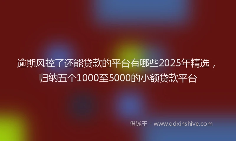 逾期风控了还能贷款的平台有哪些2025年精选，归纳五个1000至5000的小额贷款平台