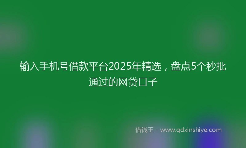 输入手机号借款平台2025年精选，盘点5个秒批通过的网贷口子