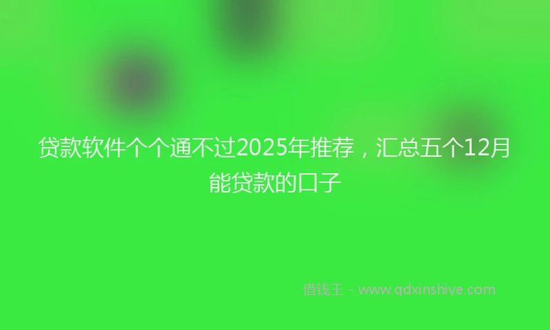 贷款软件个个通不过2025年推荐，汇总五个12月能贷款的口子