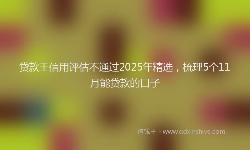 贷款王信用评估不通过2025年精选，梳理5个11月能贷款的口子