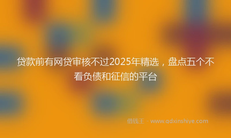 贷款前有网贷审核不过2025年精选，盘点五个不看负债和征信的平台