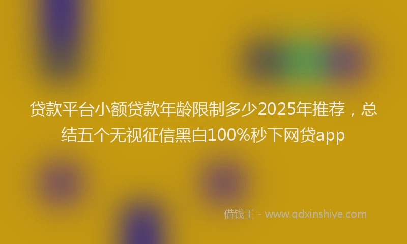 贷款平台小额贷款年龄限制多少2025年推荐，总结五个无视征信黑白100%秒下网贷app