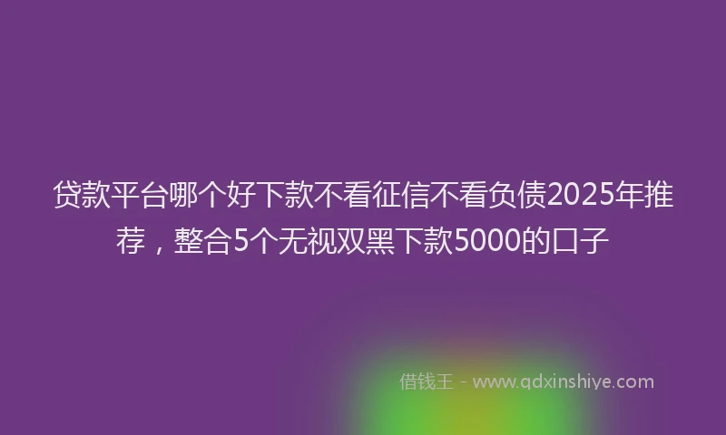 贷款平台哪个好下款不看征信不看负债2025年推荐，整合5个无视双黑下款5000的口子