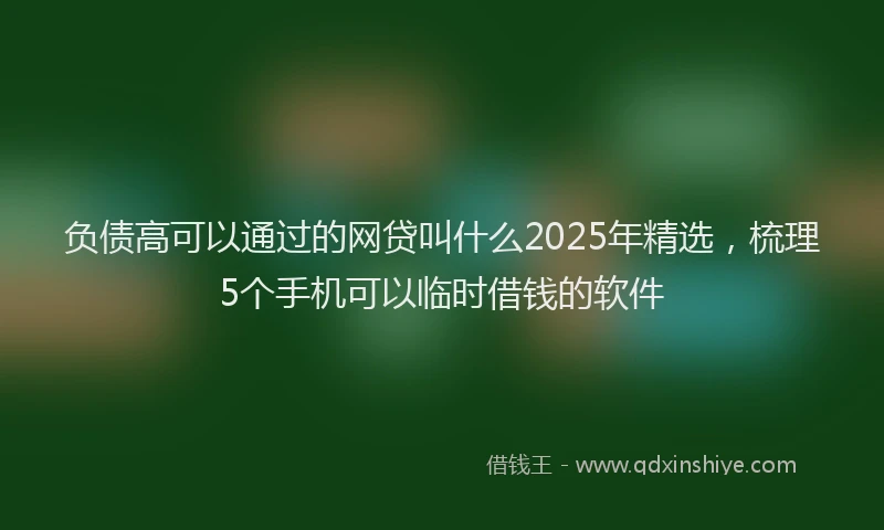 负债高可以通过的网贷叫什么2025年精选，梳理5个手机可以临时借钱的软件