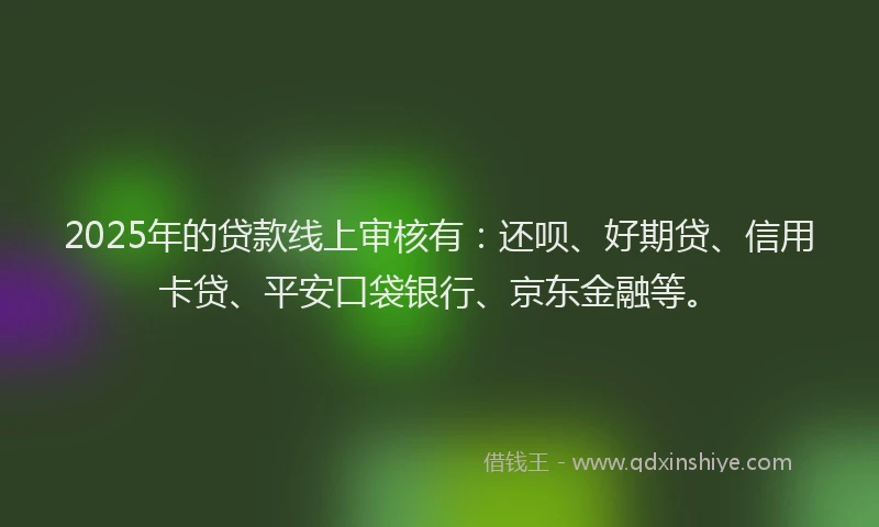 2025年的贷款线上审核有：还呗、好期贷、信用卡贷、平安口袋银行、京东金融等。
