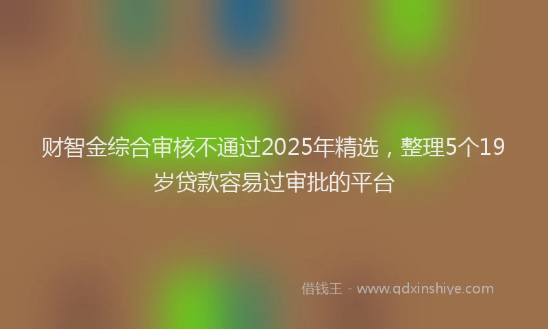财智金综合审核不通过2025年精选，整理5个19岁贷款容易过审批的平台