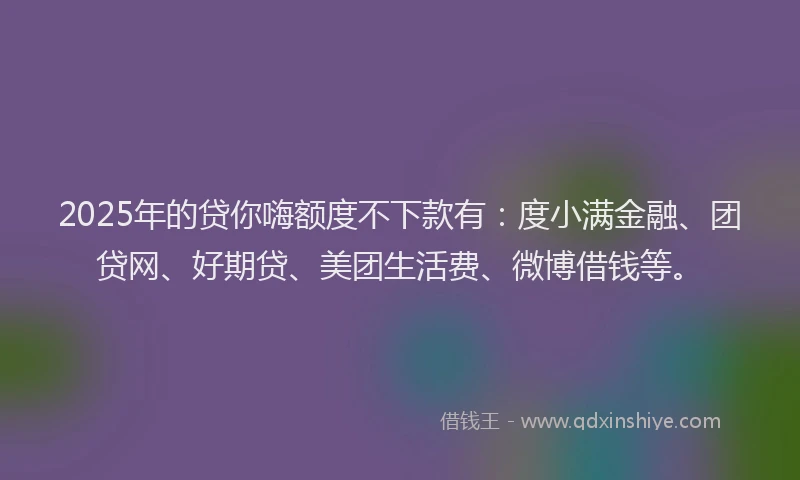 2025年的贷你嗨额度不下款有：度小满金融、团贷网、好期贷、美团生活费、微博借钱等。