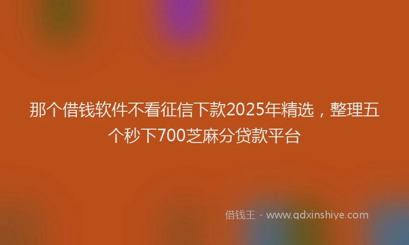 那个借钱软件不看征信下款2025年精选，整理五个秒下700芝麻分贷款平台