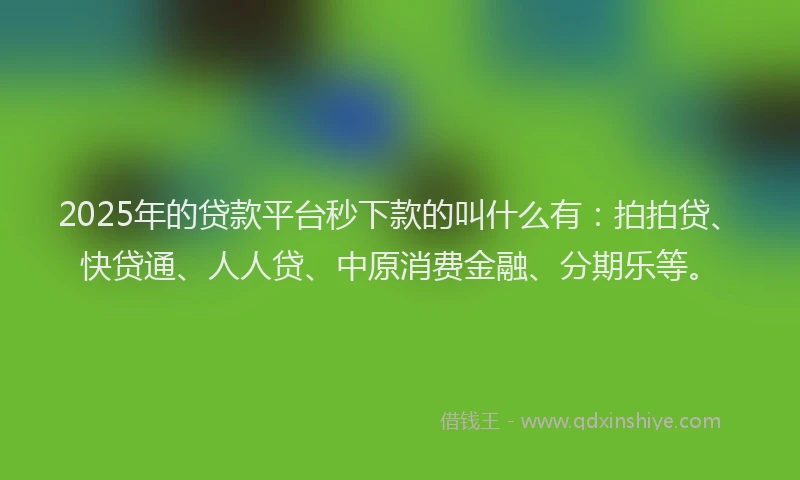 2025年的贷款平台秒下款的叫什么有：拍拍贷、快贷通、人人贷、中原消费金融、分期乐等。