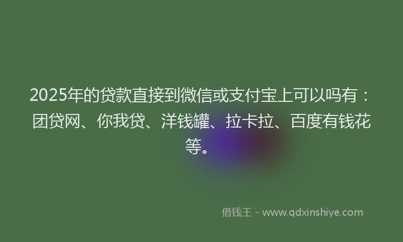2025年的贷款直接到微信或支付宝上可以吗有：团贷网、你我贷、洋钱罐、拉卡拉、百度有钱花等。