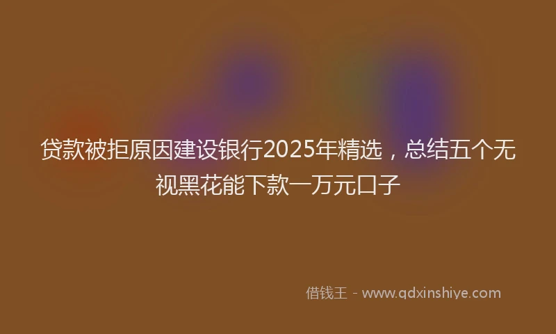 贷款被拒原因建设银行2025年精选，总结五个无视黑花能下款一万元口子