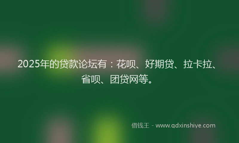 2025年的贷款论坛有：花呗、好期贷、拉卡拉、省呗、团贷网等。