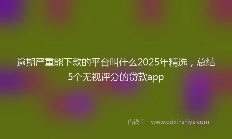 逾期严重能下款的平台叫什么2025年精选，总结5个无视评分的贷款app