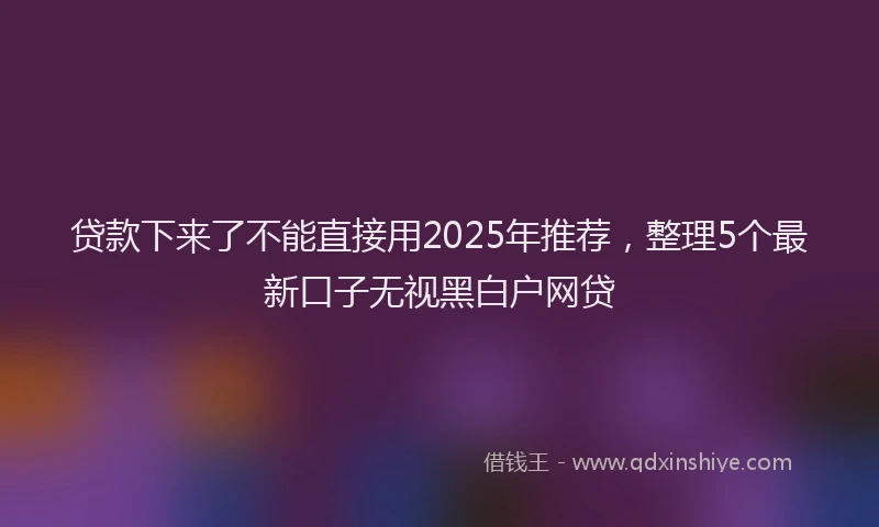 贷款下来了不能直接用2025年推荐，整理5个最新口子无视黑白户网贷