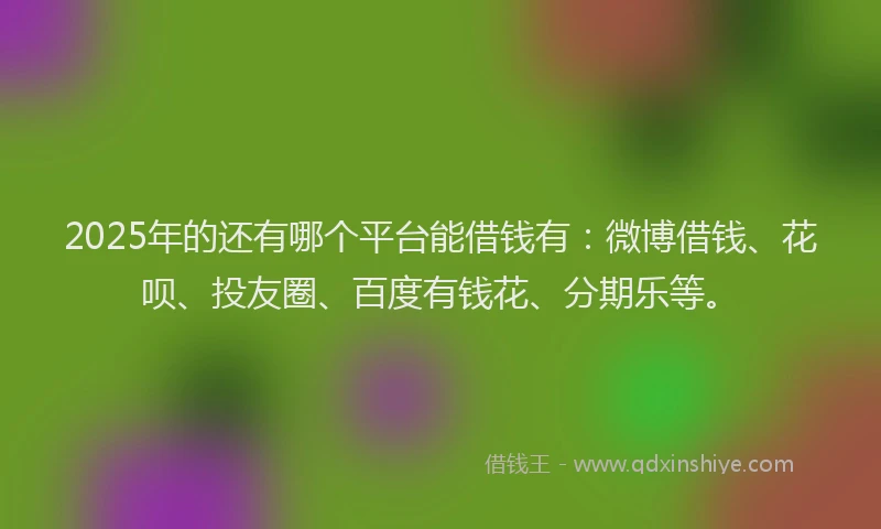 2025年的还有哪个平台能借钱有：微博借钱、花呗、投友圈、百度有钱花、分期乐等。