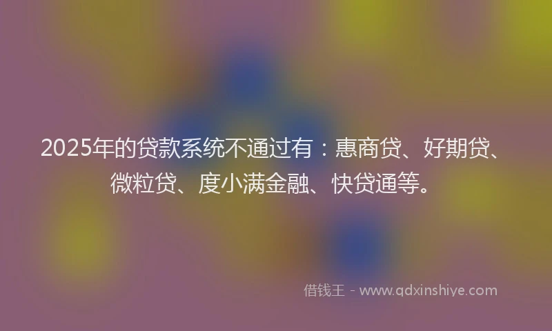 2025年的贷款系统不通过有：惠商贷、好期贷、微粒贷、度小满金融、快贷通等。