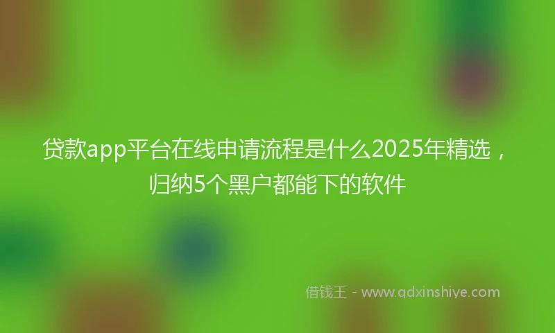 贷款app平台在线申请流程是什么2025年精选，归纳5个黑户都能下的软件