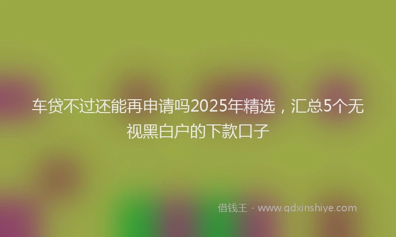 车贷不过还能再申请吗2025年精选，汇总5个无视黑白户的下款口子