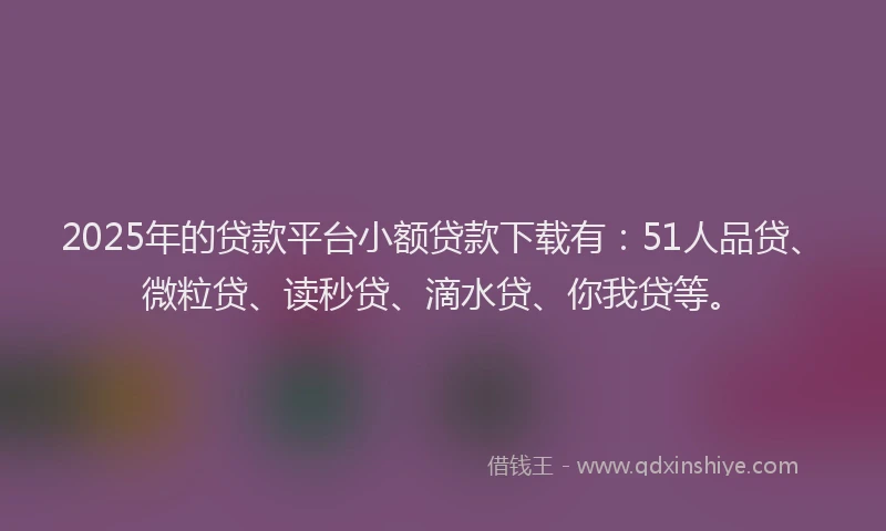 2025年的贷款平台小额贷款下载有：51人品贷、微粒贷、读秒贷、滴水贷、你我贷等。