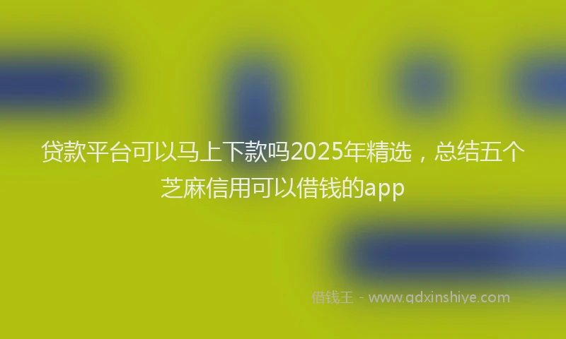 贷款平台可以马上下款吗2025年精选，总结五个芝麻信用可以借钱的app