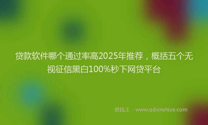 贷款软件哪个通过率高2025年推荐，概括五个无视征信黑白100%秒下网贷平台