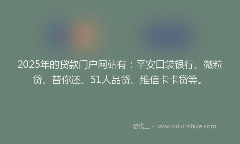 2025年的贷款门户网站有：平安口袋银行、微粒贷、替你还、51人品贷、维信卡卡贷等。