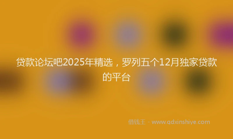 贷款论坛吧2025年精选，罗列五个12月独家贷款的平台