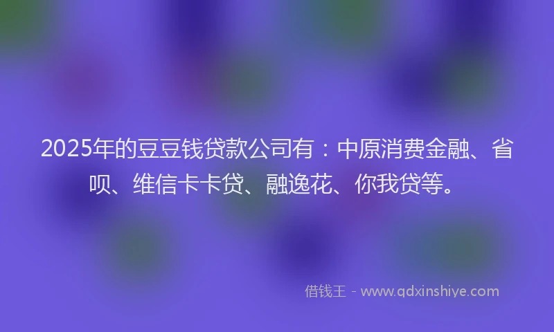 2025年的豆豆钱贷款公司有：中原消费金融、省呗、维信卡卡贷、融逸花、你我贷等。