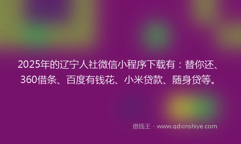 2025年的辽宁人社微信小程序下载有：替你还、360借条、百度有钱花、小米贷款、随身贷等。