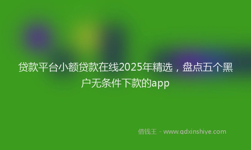 贷款平台小额贷款在线2025年精选，盘点五个黑户无条件下款的app