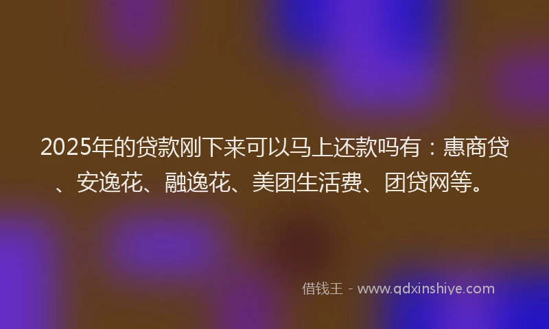 2025年的贷款刚下来可以马上还款吗有：惠商贷、安逸花、融逸花、美团生活费、团贷网等。